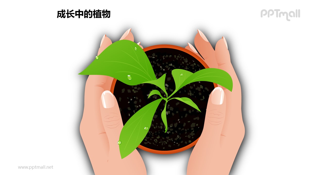 成长中的植物之双手呵护图形素材下载
