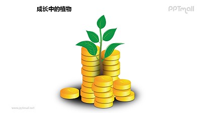 成长中的植物之金币中的植物图形素材下载 成长中的植物之金币中的植物图形素材下载