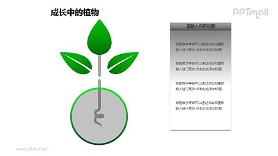 成长中的详细剖析植物图形素材下载 成长中的详细剖析植物图形素材下载