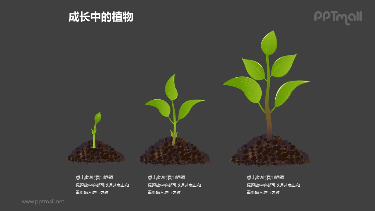 成长中的植物之植物成长三部曲图形素材下载 Pptmall