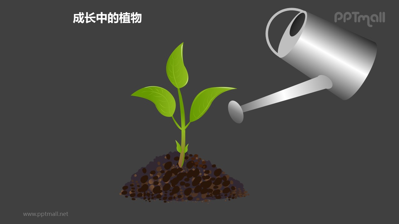 成长中的植物之浇水中的植物图形素材下载