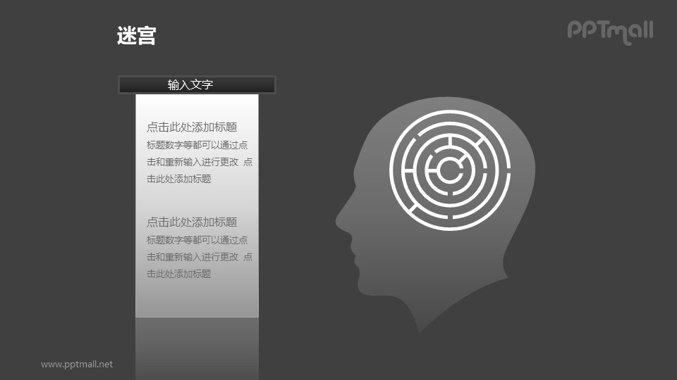 人脑中的迷宫——逻辑思维PPT模板下载