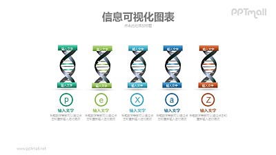 5組DNA基因序列PPT模板下載