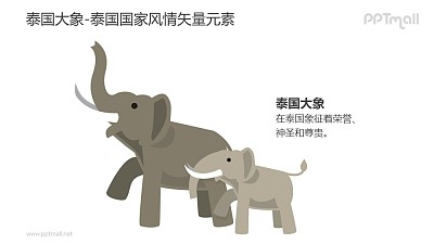 泰国大象-泰国国家风情PPT图像素材下载