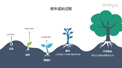 一棵樹的生長過程PPT圖示素材下載