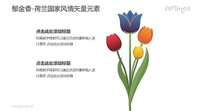 郁金香-荷蘭國家風情PPT圖像素材下載
