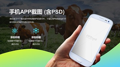 奶牛牛奶/綠色有機生態手機APP智能應用PPT樣機展示素材模板下載