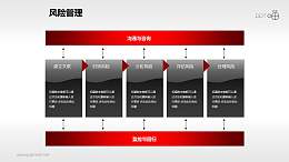 风险管理——处理流程PPT素材