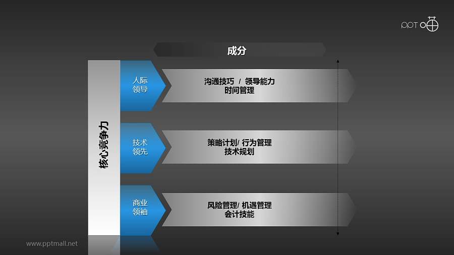 核心竞争力——成分分析PPT素材