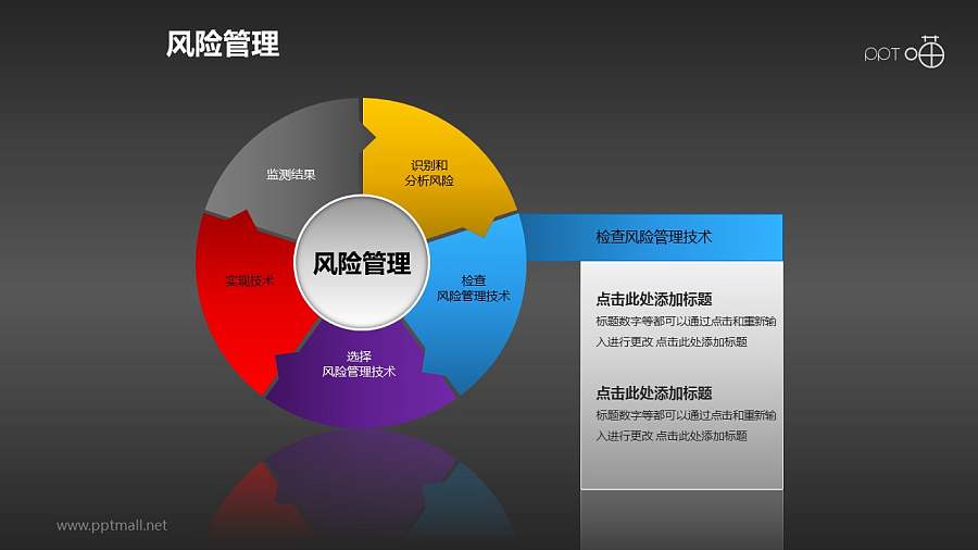 风险管理——检查风险管理技术PPT素材