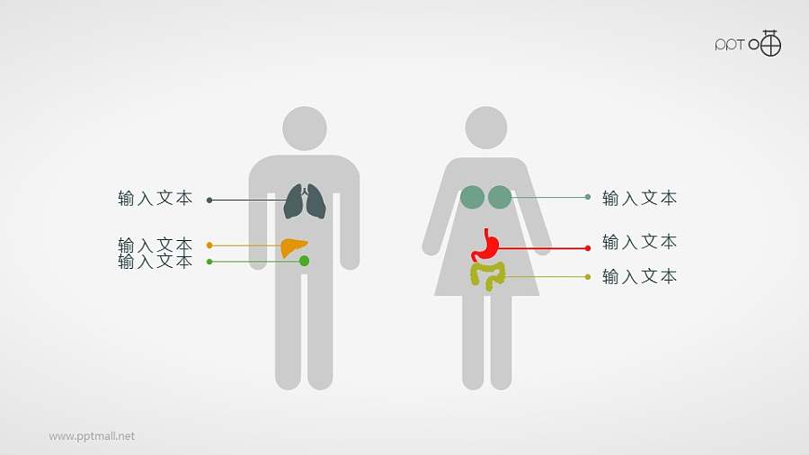 扁平化的男女身体器官PPT素材