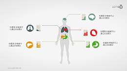 扁平化的人体器官PPT素材