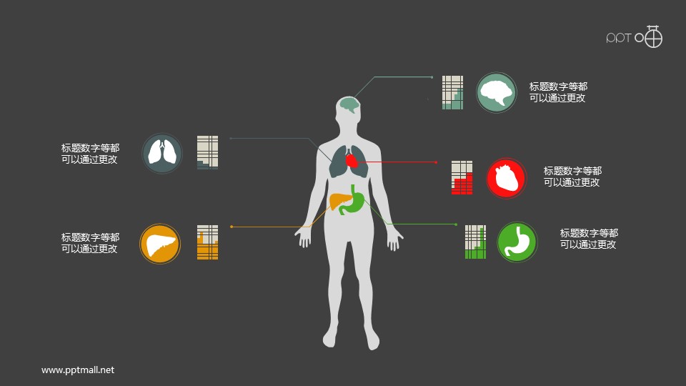 扁平化的人體器官PPT素材