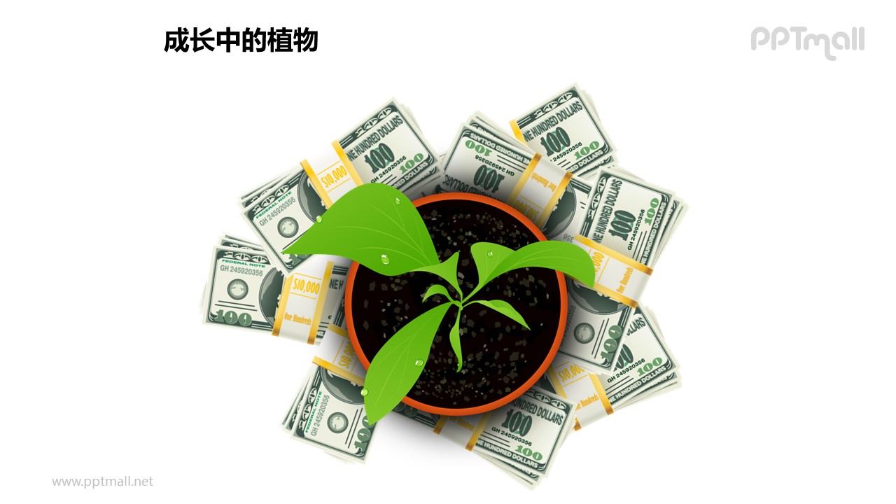 成长中的植物之金钱呵护下的植物图形素材下载