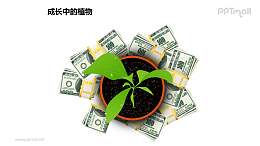 成長中的植物之金錢呵護下的植物圖形素材下載