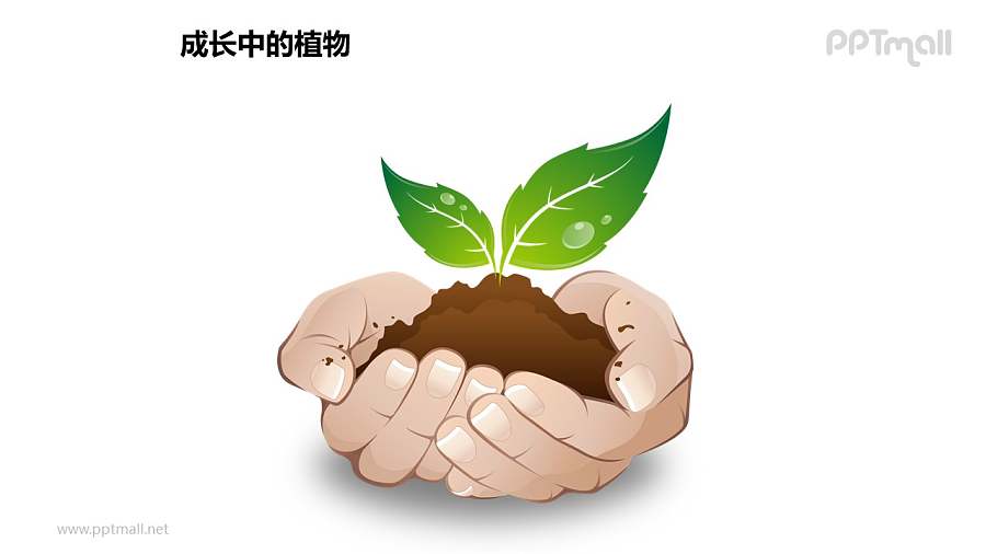 成长中的植物之“捧在手心里”植物图形素材下载