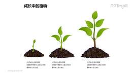 成长中的植物之植物成长三部曲图形素材下载