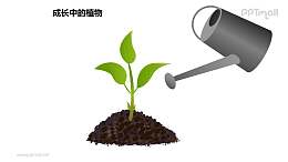 成長中的植物之澆水中的植物圖形素材下載