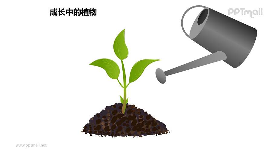 成长中的植物之浇水中的植物图形素材下载