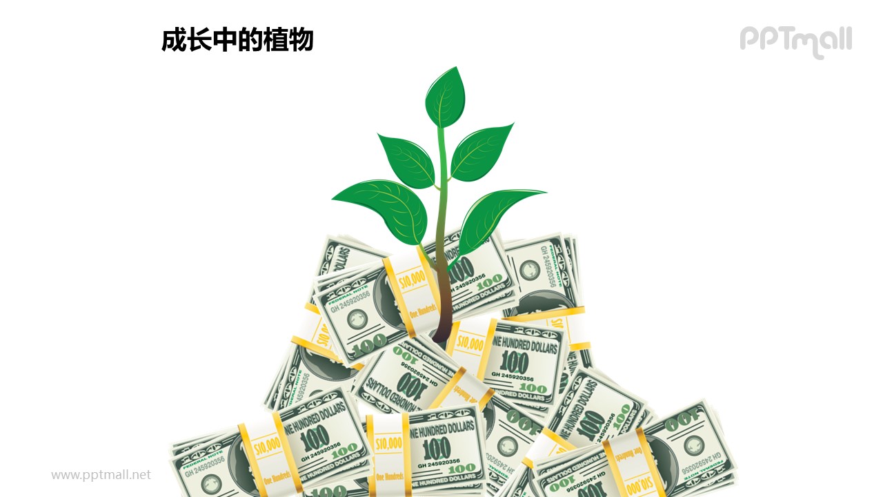 成长中的植物之金钱呵护长大的植物图形素材下载