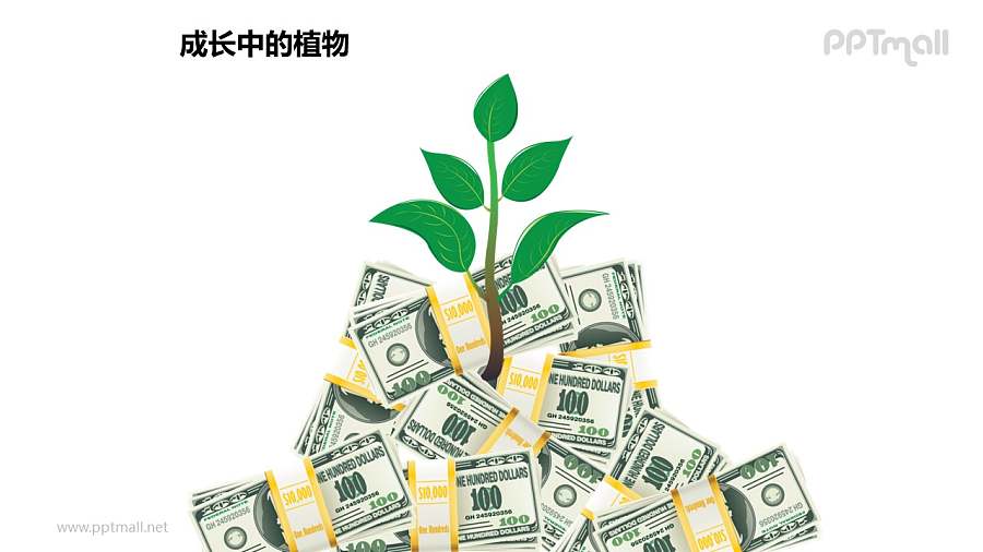 成长中的植物之金钱呵护长大的植物图形素材下载