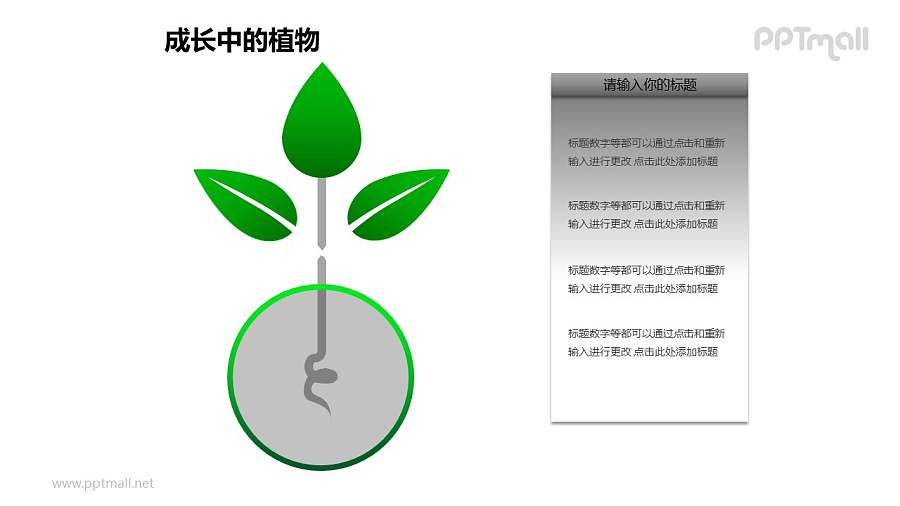 成长中的详细剖析植物图形素材下载