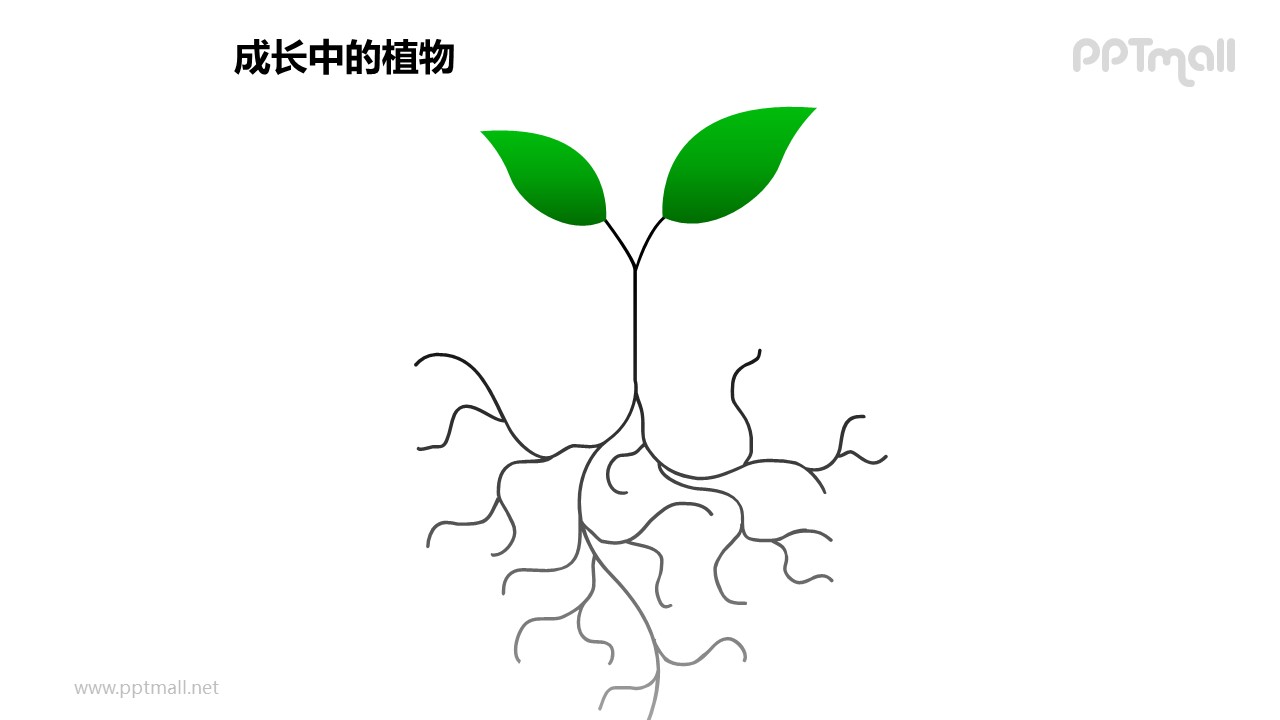 成长中的植物发达的根部图形素材下载