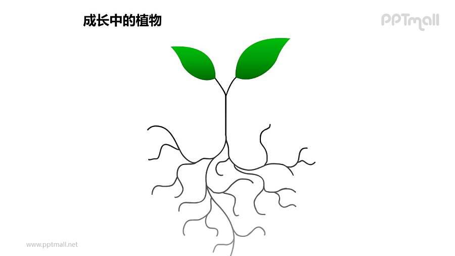 成长中的植物发达的根部图形素材下载