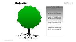 成长中的植物之2部分大树图形素材下载