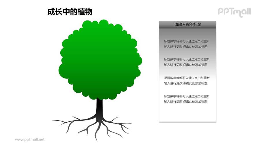 成长中的植物之2部分大树图形素材下载