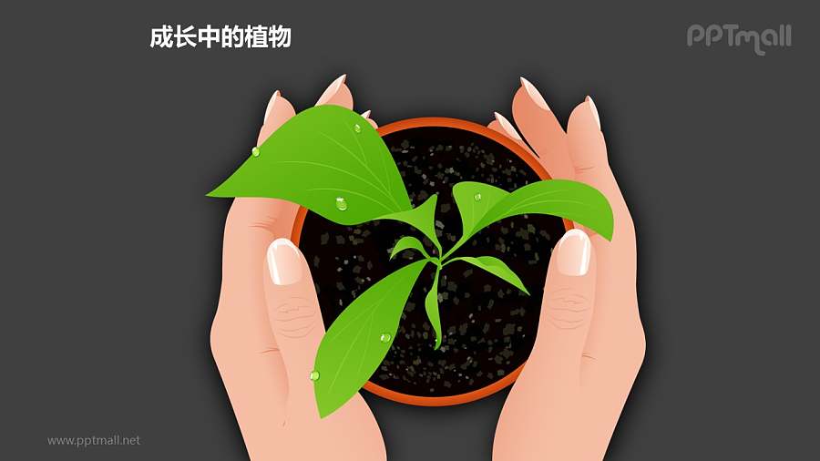 成长中的植物之双手呵护图形素材下载