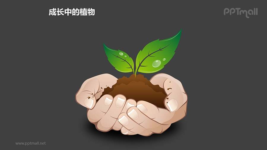成长中的植物之“捧在手心里”植物图形素材下载