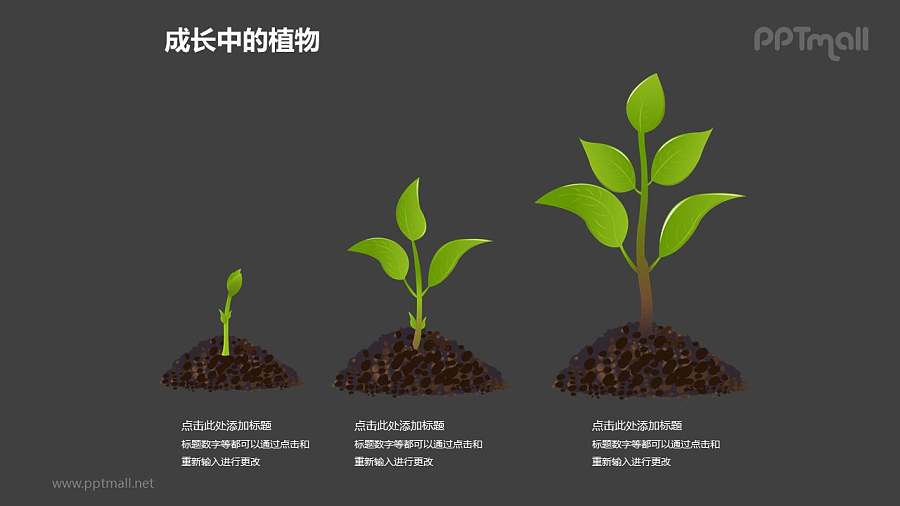 成长中的植物之植物成长三部曲图形素材下载