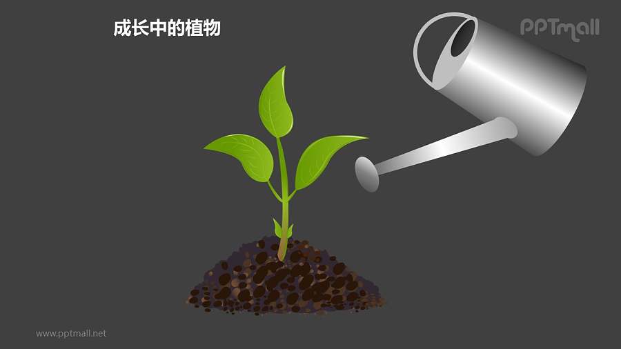 成长中的植物之浇水中的植物图形素材下载