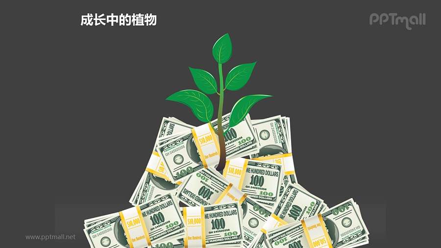 成长中的植物之金钱呵护长大的植物图形素材下载