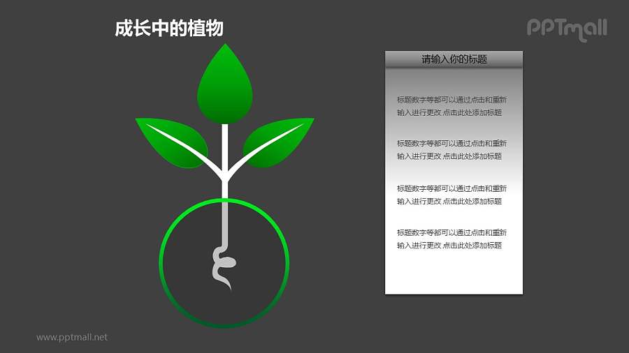 成长中的详细剖析植物图形素材下载