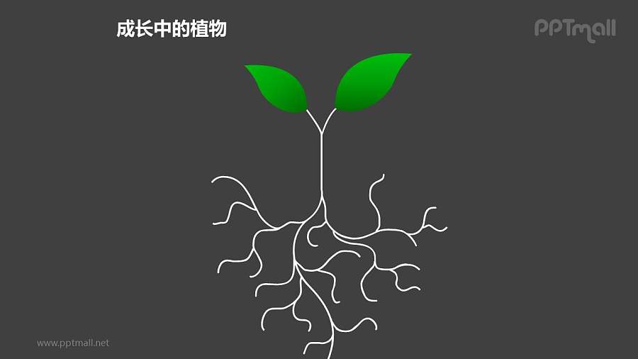 成长中的植物发达的根部图形素材下载