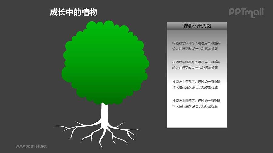 成长中的植物之2部分大树图形素材下载