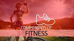 被半透明色块切割的全图型PPT模板版式