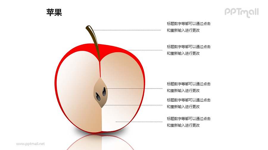 苹果——苹果的横截面结构解析PPT模板素材
