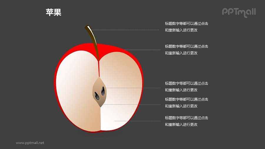 苹果——苹果的横截面结构解析PPT模板素材