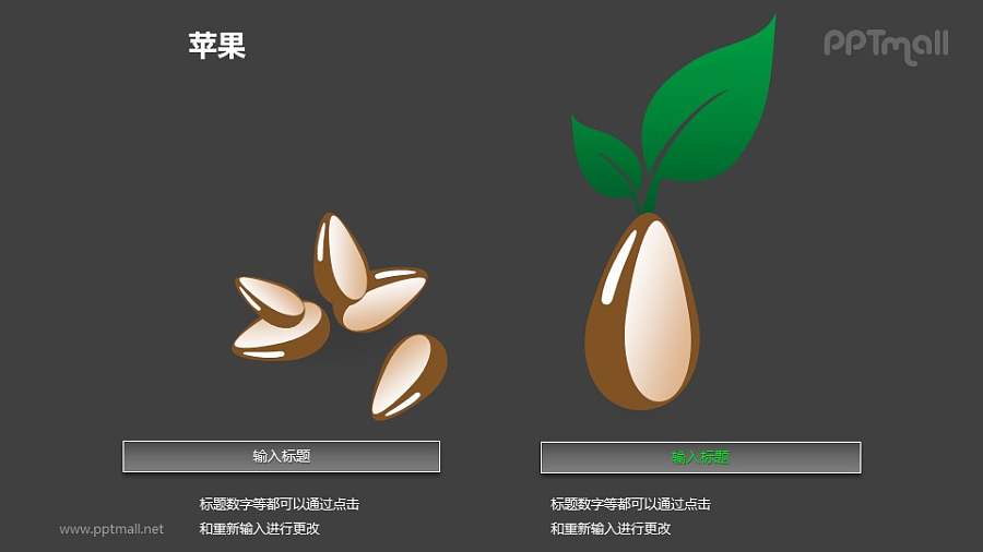苹果——发芽的苹果籽PPT模板素材