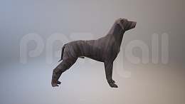 木质纹理的3D狗狗PPT模型素材