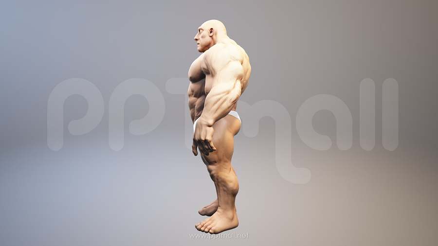 强壮的肌肉男3D PPT模型素材
