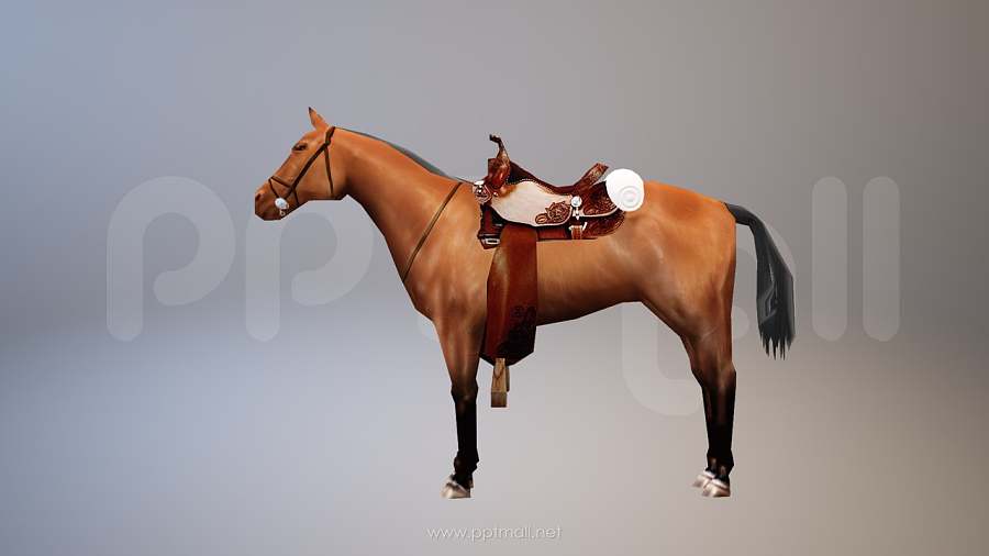 战国时期的3D马匹模型PPT素材下载