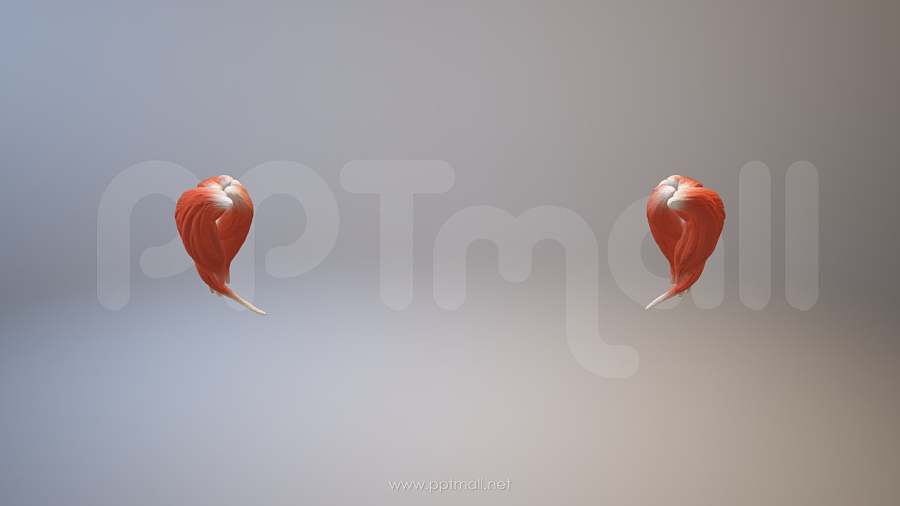 3D人体肌肉组织-前臂肌肉模型PPT素材下载