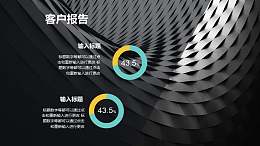 全图型2组圆环图的PPT图表版式下载