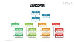 彩色縱向4層結(jié)構(gòu)的組織架構(gòu)圖(含助理崗位)PPT模板素材