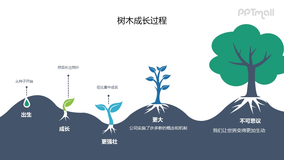 一棵树的生长过程PPT图示素材下载