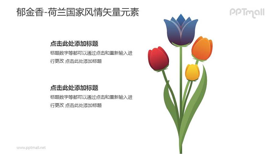 郁金香-荷兰国家风情PPT图像素材下载